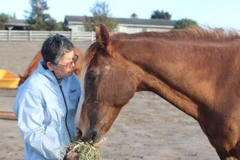 Hoofbeats Stables_Team_Phyllis